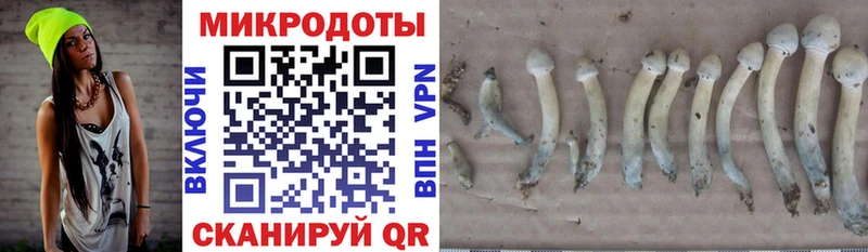 Купить закладки  Зеленодольск  Псилоцибиновые грибы мухоморы 